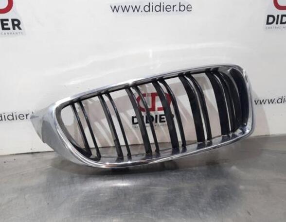 Radiator Grille BMW 4 Coupe (F32, F82)