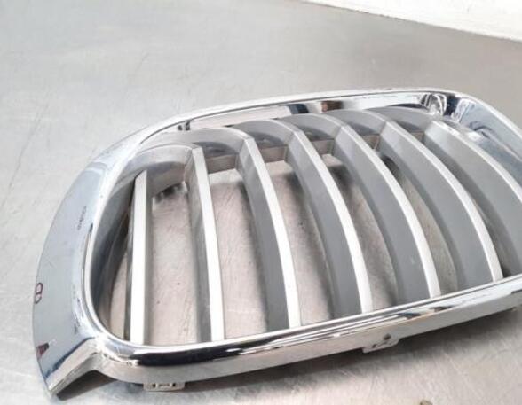 Radiateurgrille BMW X4 (F26), BMW X3 (F25)