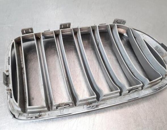 Radiateurgrille BMW X4 (F26), BMW X3 (F25)