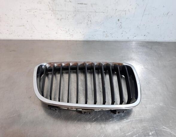 Radiator Grille BMW 1 (F20)