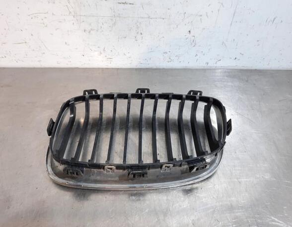 Radiator Grille BMW 1 (F20)