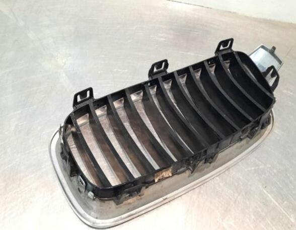 Radiator Grille BMW 3 (F30, F80)