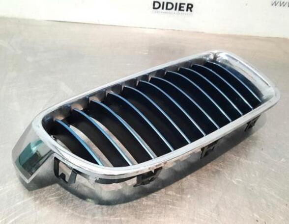 Radiator Grille BMW 3 (F30, F80)