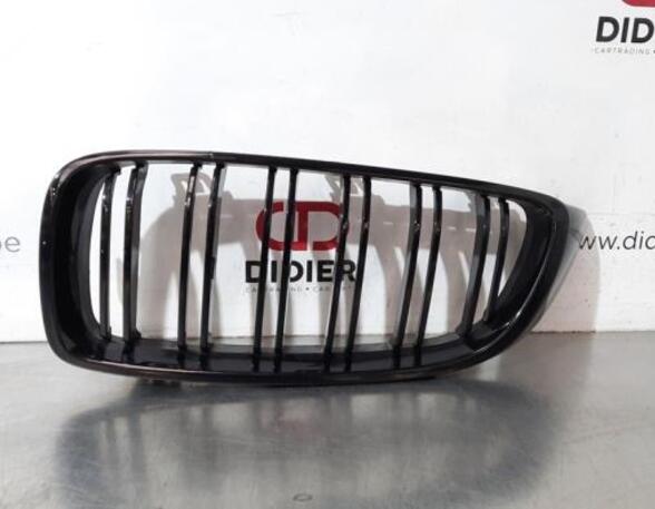 Radiator Grille BMW 4 Coupe (F32, F82)