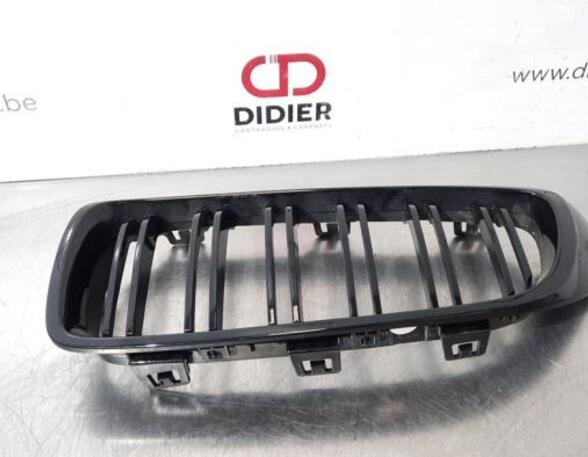 Radiator Grille BMW 4 Coupe (F32, F82)