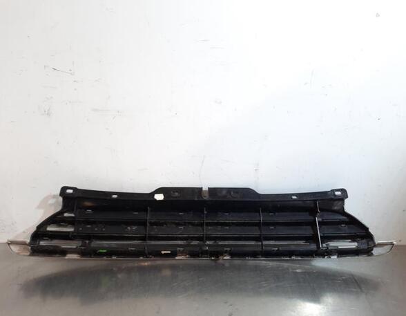 Radiator Grille MINI MINI (R56)