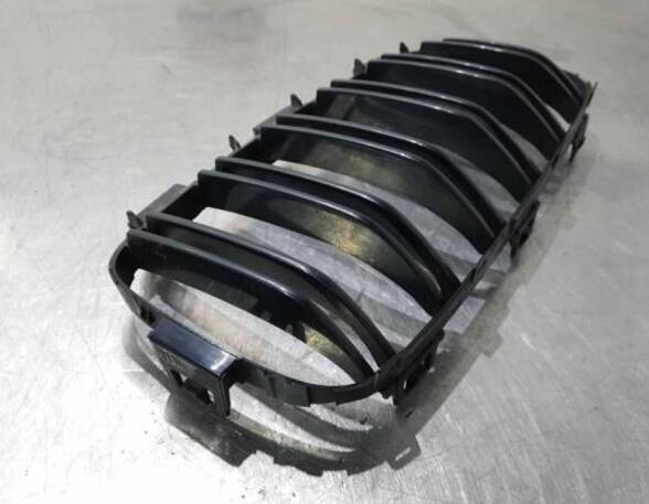 Radiator Grille BMW 3 (F30, F80)