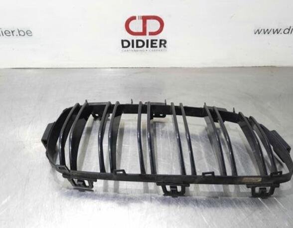 Radiator Grille BMW 3 (F30, F80)