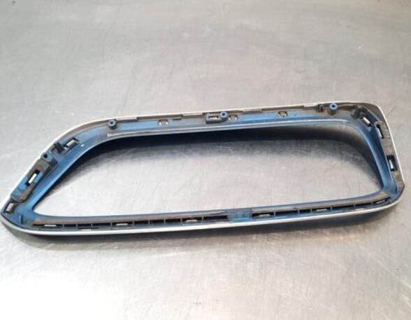 Radiator Grille BMW i3 (I01)