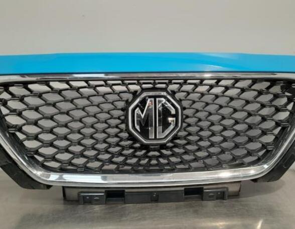 Radiateurgrille MG MG HS