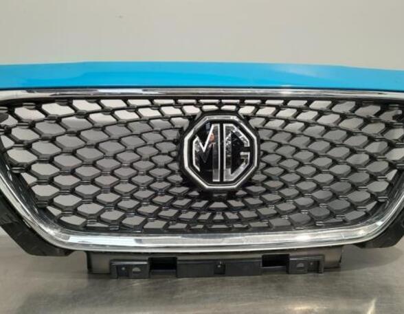 Radiateurgrille MG MG HS