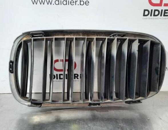 Radiateurgrille BMW X6 (F16, F86)