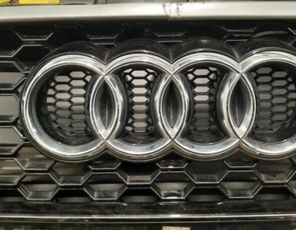 Radiator Grille AUDI A3 Sportback (8PA), AUDI A3 Sportback (8VA, 8VF)