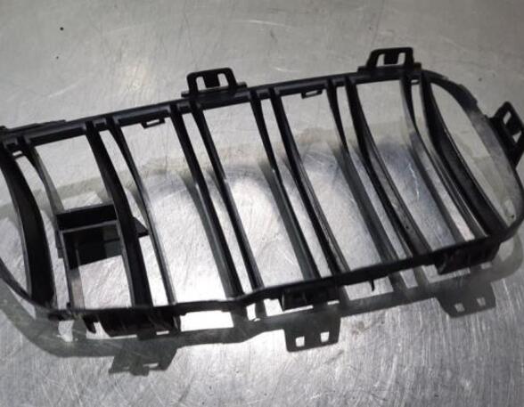 Radiator Grille BMW 3 (F30, F80)