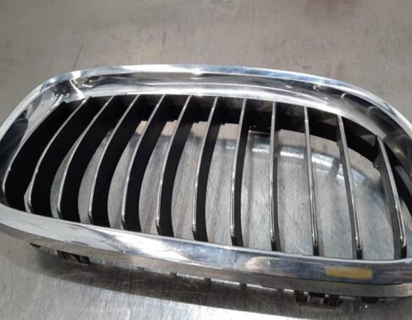 Radiator Grille BMW 3 Touring (E91)