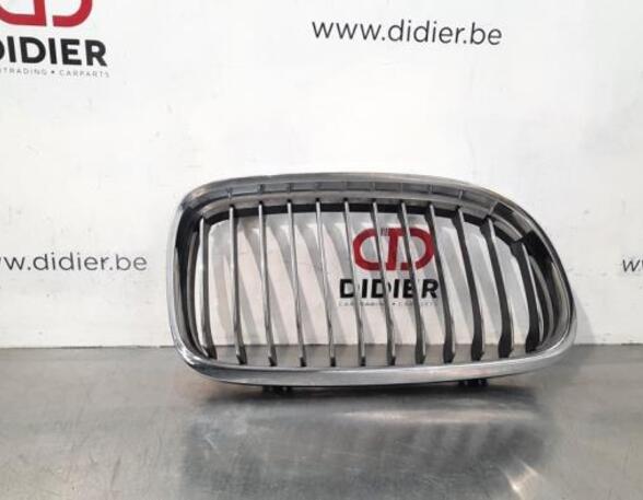 Radiator Grille BMW 3 Touring (E91)