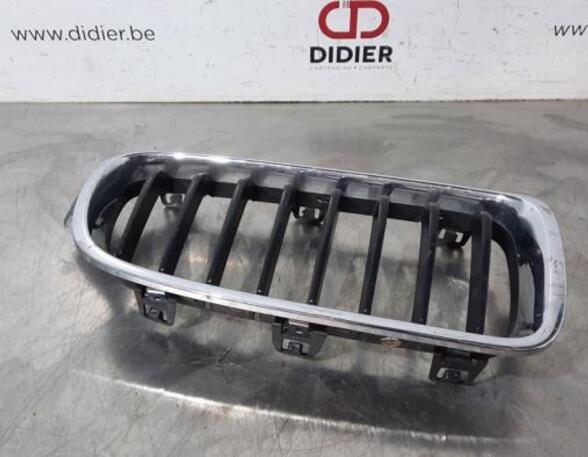 Radiateurgrille BMW 3 Touring (F31), BMW 3 Touring Van (F31), BMW 3 Touring Van (G21)