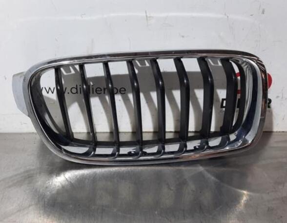 Radiateurgrille BMW 3 Touring (F31), BMW 3 Touring Van (F31), BMW 3 Touring Van (G21)