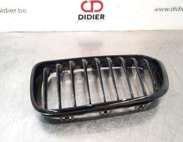 Radiator Grille BMW 1 (F20)