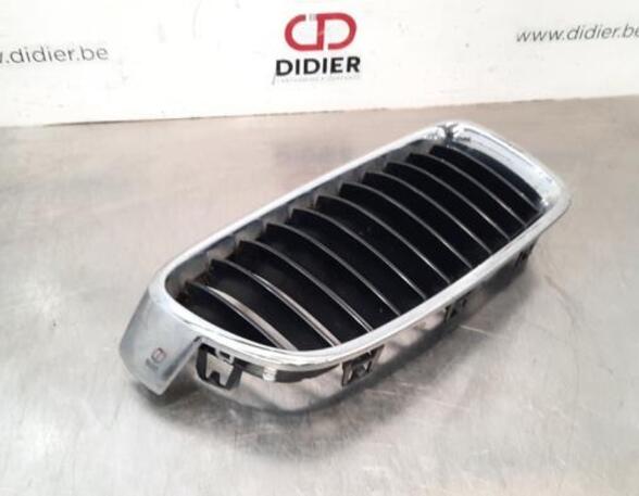 Radiateurgrille BMW 3 Touring (F31), BMW 3 Touring Van (F31), BMW 3 Touring Van (G21)