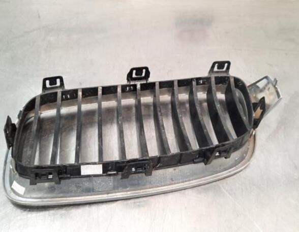 Radiateurgrille BMW 3 Touring (F31), BMW 3 Touring Van (F31), BMW 3 Touring Van (G21)