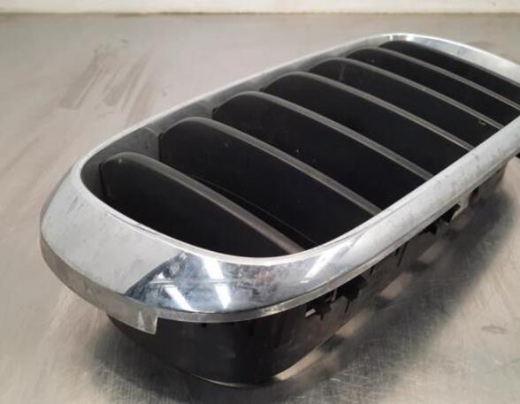 Radiator Grille BMW X5 (F15, F85)