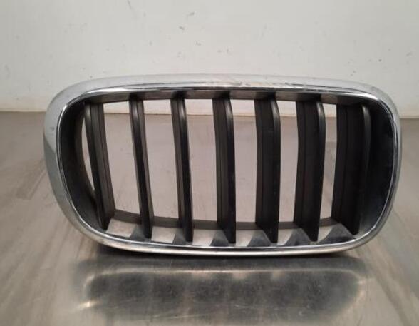 Radiator Grille BMW X5 (F15, F85)