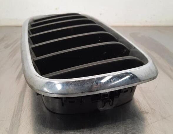 Radiator Grille BMW X5 (F15, F85)