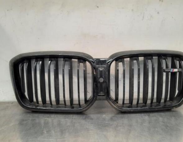 Radiateurgrille BMW X3 (G01, F97)