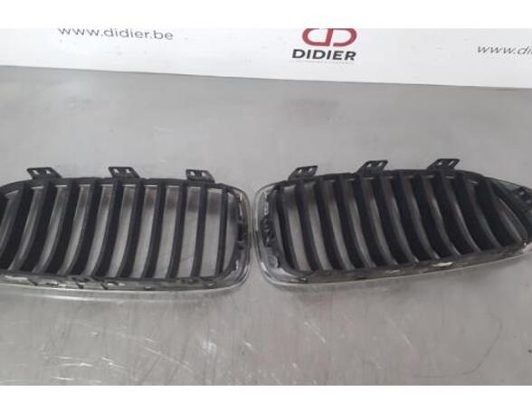 Radiateurgrille BMW 4 Convertible (F33, F83)