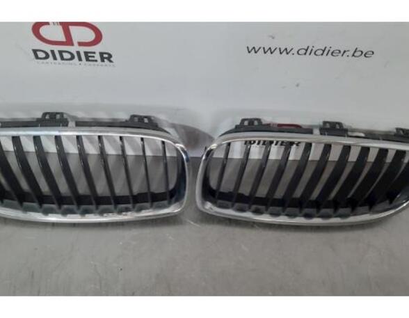 Radiateurgrille BMW 4 Convertible (F33, F83)