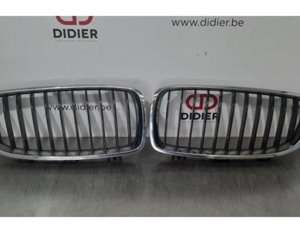 Radiateurgrille BMW 4 Convertible (F33, F83)