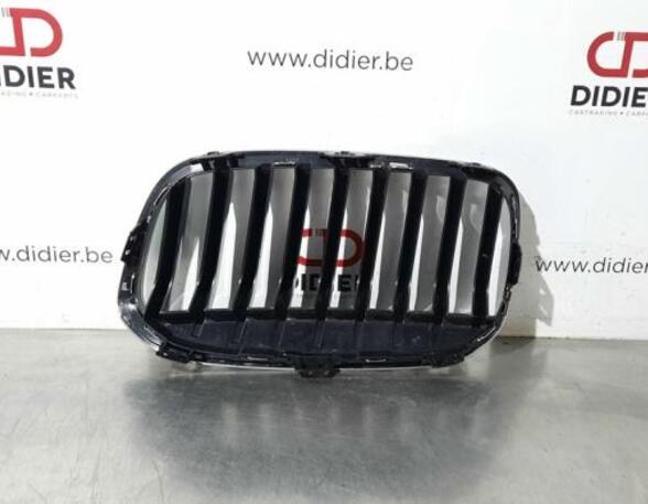 Radiator Grille BMW 2 Active Tourer (F45)