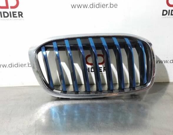 Radiator Grille BMW 2 Active Tourer (F45)