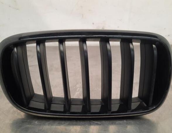 Radiateurgrille BMW X5 (F15, F85)