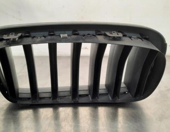 Radiateurgrille BMW X5 (F15, F85)