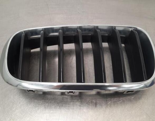 Radiator Grille BMW X6 (F16, F86)