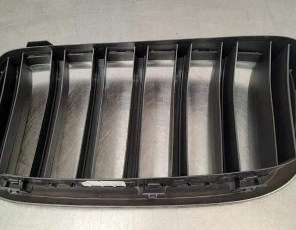 Radiator Grille BMW X6 (F16, F86)