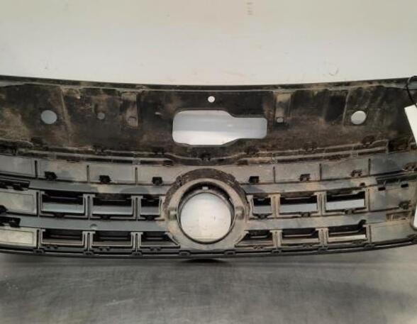 Radiator Grille VW AMAROK (2HA, 2HB, S1B, S6B, S7A, S7B), VW AMAROK Platform/Chassis (S1B, S6B, S7B)