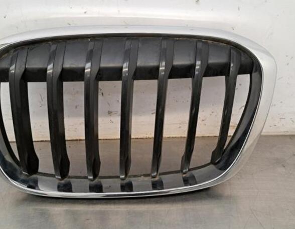 Radiateurgrille BMW X1 (F48), MINI MINI COUNTRYMAN (F60)