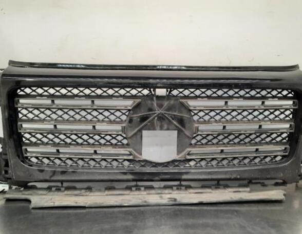 Radiator Grille MERCEDES-BENZ G-CLASS (W463), MERCEDES-BENZ G-CLASS (W461)