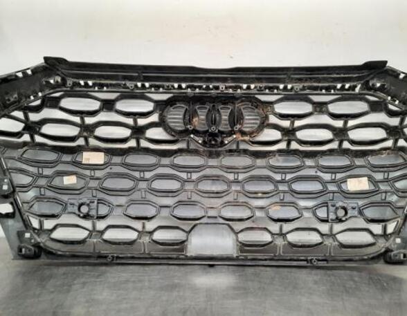 Radiator Grille AUDI A3 Sportback (8YA)