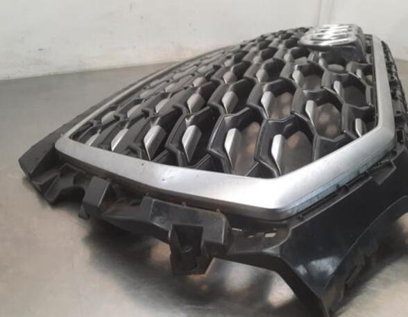 Radiateurgrille AUDI Q5 Sportback (FYT)