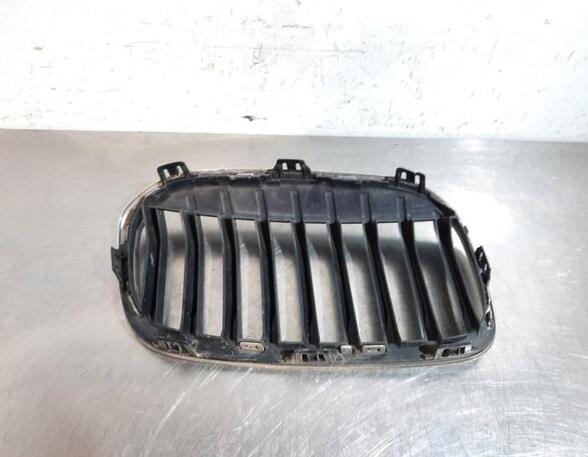 Radiateurgrille BMW 2 Gran Tourer (F46)