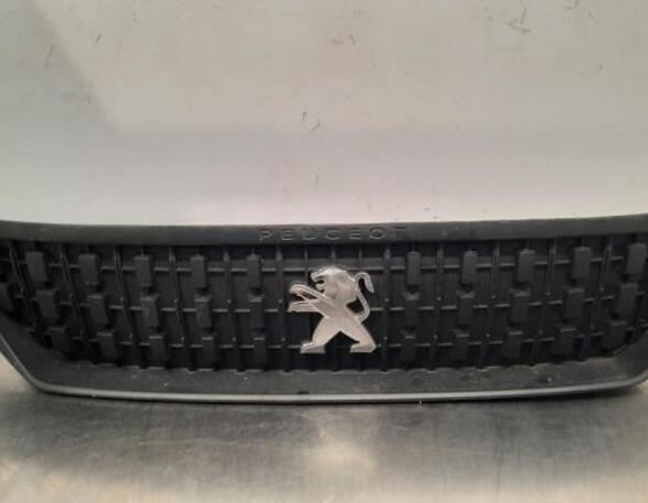 Radiator Grille PEUGEOT EXPERT Van (V_), OPEL VIVARO C Van (K0)