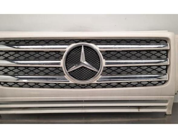 Radiator Grille MERCEDES-BENZ G-CLASS (W463), MERCEDES-BENZ G-CLASS (W461)