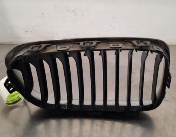 Radiator Grille BMW 1 (F20)