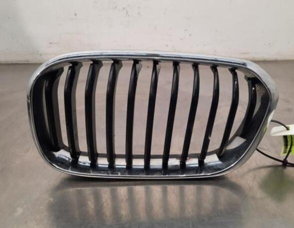 Radiator Grille BMW 1 (F20)