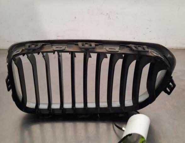 Radiateurgrille BMW 1 (F20)