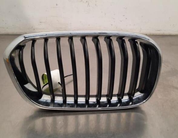 Radiateurgrille BMW 1 (F20)